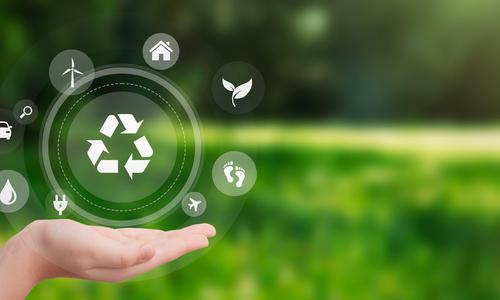 Creating Earth-Friendly Foods