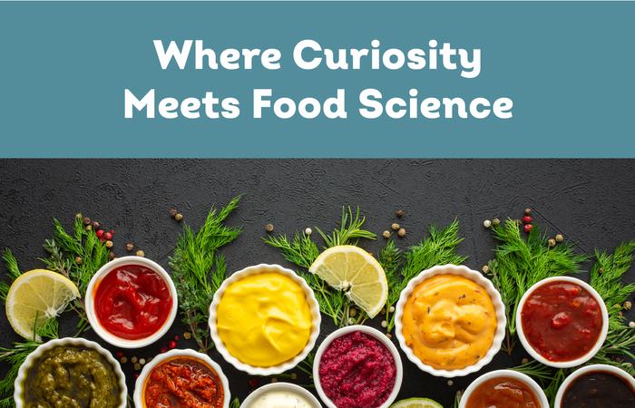 A vibrant CuliNEX workspace showcasing curiosity-driven food innovation processes.