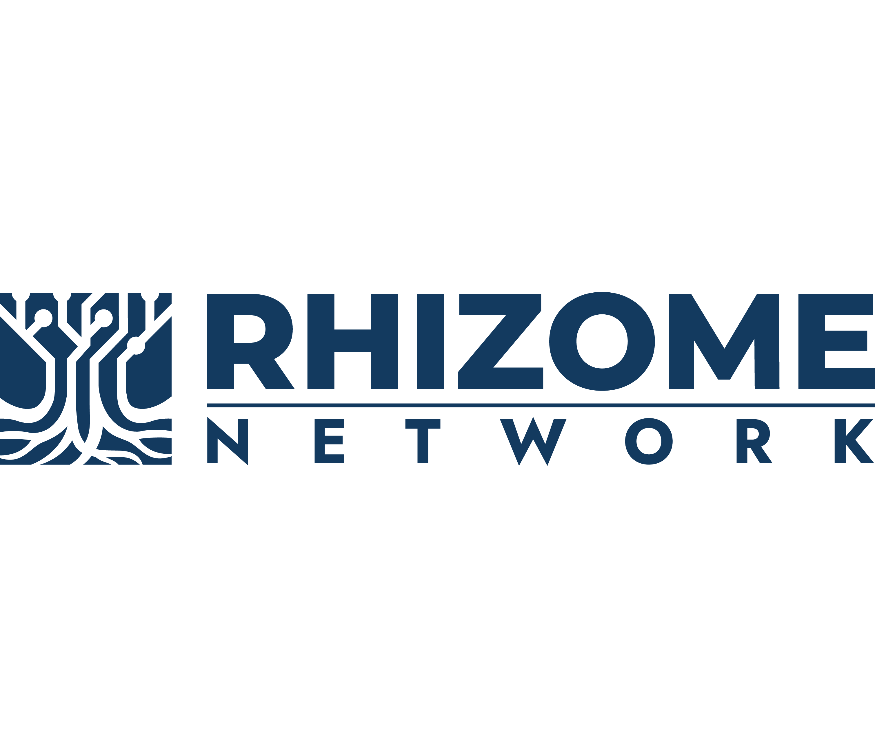 Rhizome Network